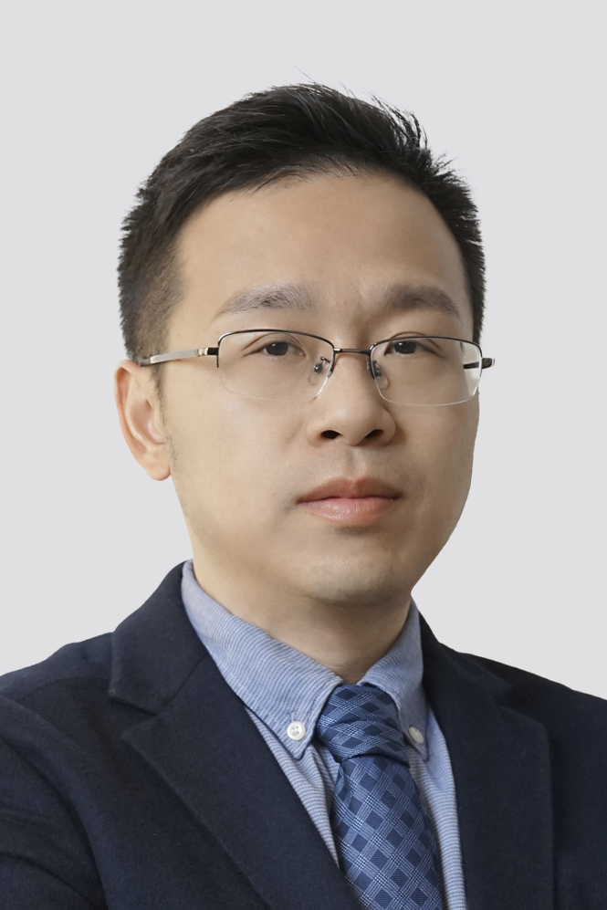 Prof. Yang Tang | IEEE Fellow | AAIA Fellow