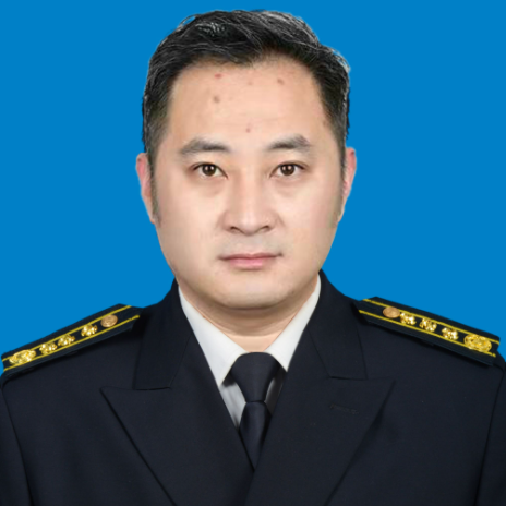 Prof. Ning Wang  | IET/ISCM/IIAV Fellow